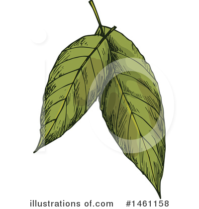 Royalty-Free (RF) Herb Clipart Illustration by Vector Tradition SM - Stock Sample #1461158