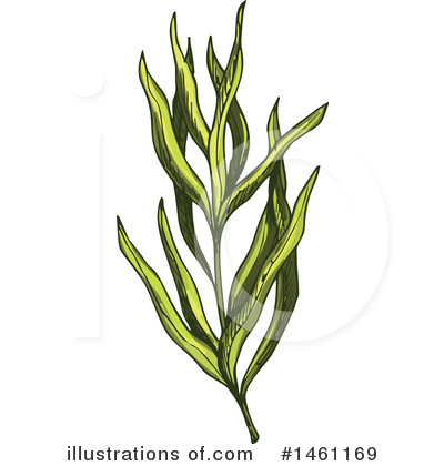 Royalty-Free (RF) Herb Clipart Illustration by Vector Tradition SM - Stock Sample #1461169