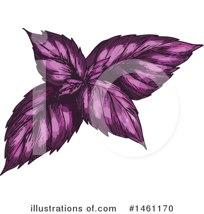 Basil Clipart #1461170 by Vector Tradition SM