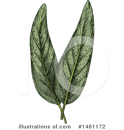 Royalty-Free (RF) Herb Clipart Illustration by Vector Tradition SM - Stock Sample #1461172