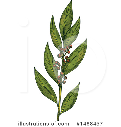 Royalty-Free (RF) Herb Clipart Illustration by Vector Tradition SM - Stock Sample #1468457