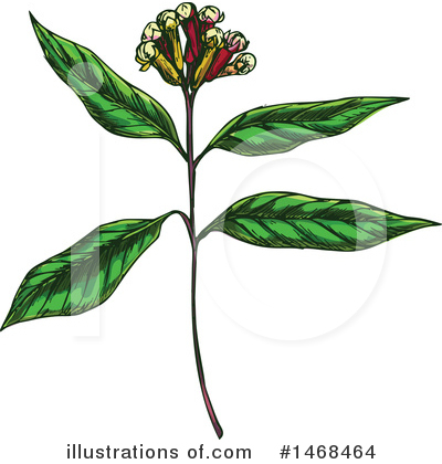 Royalty-Free (RF) Herb Clipart Illustration by Vector Tradition SM - Stock Sample #1468464