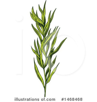 Royalty-Free (RF) Herb Clipart Illustration by Vector Tradition SM - Stock Sample #1468468