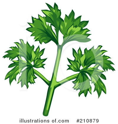 Herbs Herb on Herb Clipart  210879 By Dero   Royalty Free  Rf  Stock Illustrations
