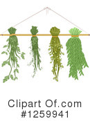Herbs Clipart #1259941 by BNP Design Studio