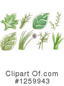 Herbs Clipart #1259943 by BNP Design Studio