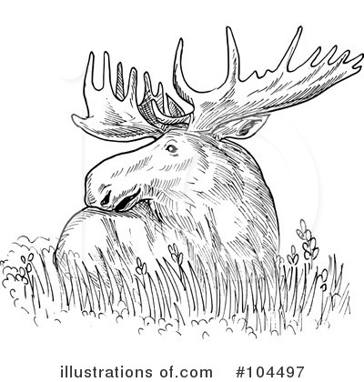 Moose Clipart #104497 by patrimonio