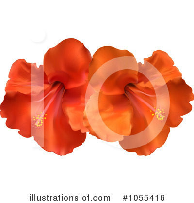 Hibiscus Clipart #1055416 by elaineitalia