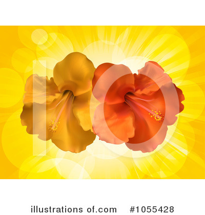 Hibiscus Clipart #1055428 by elaineitalia