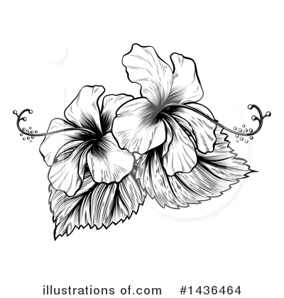 Royalty-Free (RF) Hibiscus Clipart Illustration by AtStockIllustration - Stock Sample #1436464