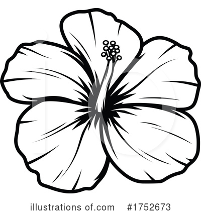 Hibiscus Clipart #1752673 by Vector Tradition SM