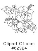 Hibiscus Clipart #62924 by LoopyLand