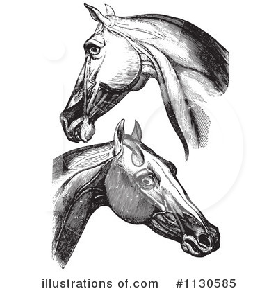 Royalty-Free (RF) Horse Anatomy Clipart Illustration by Picsburg - Stock Sample #1130585