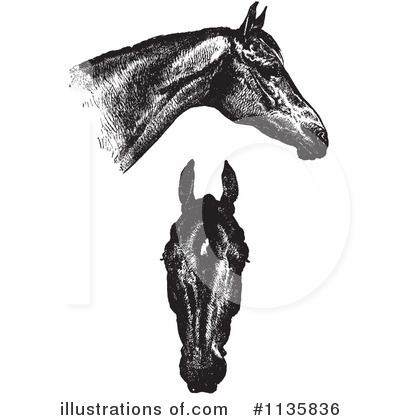 Royalty-Free (RF) Horse Anatomy Clipart Illustration by Picsburg - Stock Sample #1135836