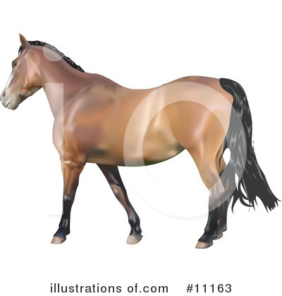 Royalty-Free (RF) Horse Clipart Illustration by AtStockIllustration - Stock Sample #11163