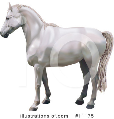 Royalty-Free (RF) Horse Clipart Illustration by AtStockIllustration - Stock Sample #11175