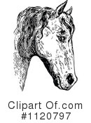 Horse Clipart #1120797 by Prawny Vintage