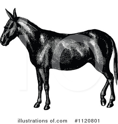 Royalty-Free (RF) Horse Clipart Illustration by Prawny Vintage - Stock Sample #1120801