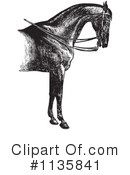 Horse Clipart #1135841 by Picsburg