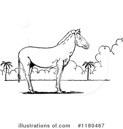 Royalty-Free (RF) Horse Clipart Illustration by Prawny Vintage - Stock Sample #1180467