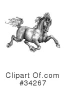 Horse Clipart #34267 by C Charley-Franzwa