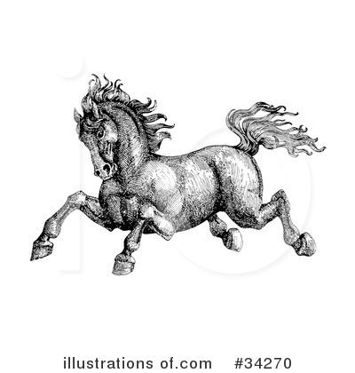 Horse Clipart #34270 by C Charley-Franzwa