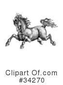 Horse Clipart #34270 by C Charley-Franzwa