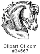 Horse Clipart #34567 by C Charley-Franzwa