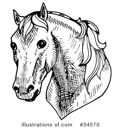 Horse Clipart #34570 by C Charley-Franzwa