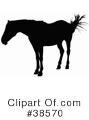 Horse Clipart #38570 by dero