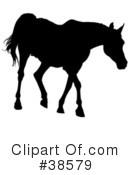 Horse Clipart #38579 by dero