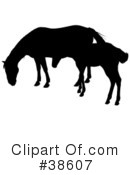 Horse Clipart #38607 by dero