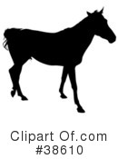 Horse Clipart #38610 by dero