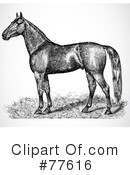 Horse Clipart #77616 by BestVector
