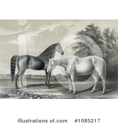 Royalty-Free (RF) Horses Clipart Illustration by JVPD - Stock Sample #1085217
