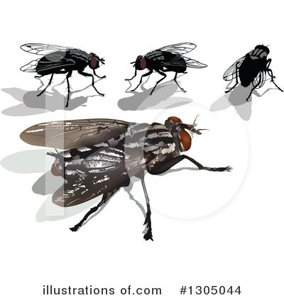 Royalty-Free (RF) House Fly Clipart Illustration by dero - Stock Sample #1305044