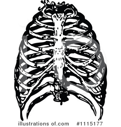 Human Anatomy Clipart #1115177 by Prawny Vintage