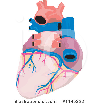 Heart Clipart #1145222 by patrimonio
