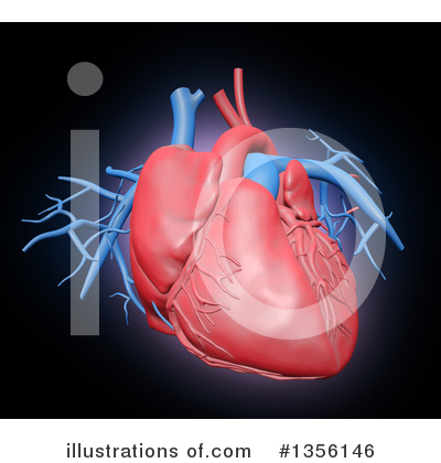 Royalty-Free (RF) Human Heart Clipart Illustration by Mopic - Stock Sample #1356146
