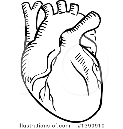 Royalty-Free (RF) Human Heart Clipart Illustration by Vector Tradition SM - Stock Sample #1390910