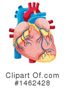 Human Heart Clipart #1462428 by Graphics RF