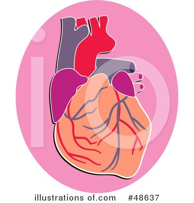 Royalty-Free (RF) Human Heart Clipart Illustration by Prawny - Stock Sample #48637