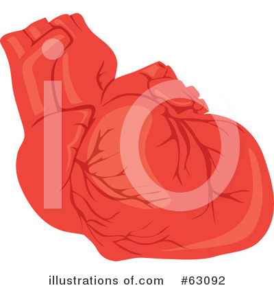 Human Heart Clipart #63092 by Rosie Piter