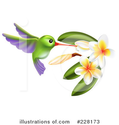 Hummingbird Clipart #228173 by AtStockIllustration