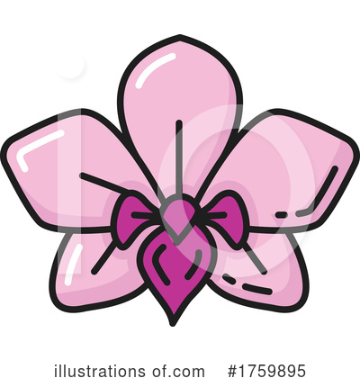 Orchid Clipart #1759895 by Vector Tradition SM