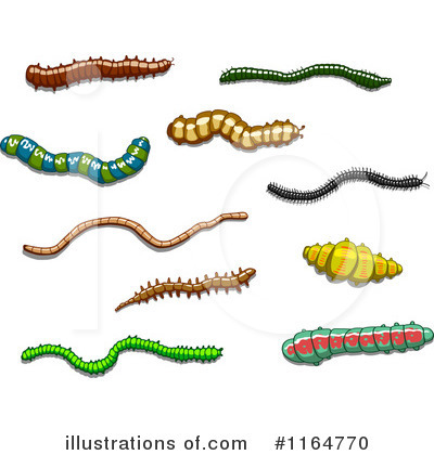 Grub Clipart #1164770 by Vector Tradition SM