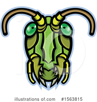 Insect Clipart #1563815 by patrimonio