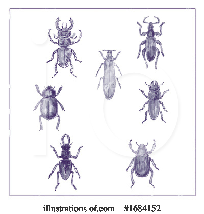 Stag Beetle Clipart #1684152 by patrimonio