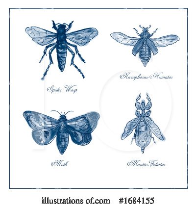Royalty-Free (RF) Insect Clipart Illustration by patrimonio - Stock Sample #1684155