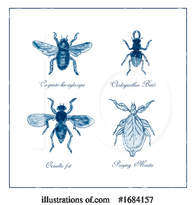 Royalty-Free (RF) Insect Clipart Illustration by patrimonio - Stock Sample #1684157